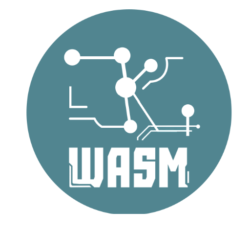 ZKWASM